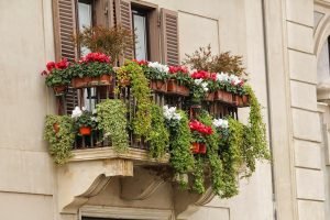 cómo decorar un balcón con plantas