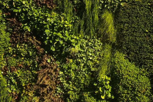 Jardines verticales artificiales de exterior: un oasis visual 8 jardines verticales artificiales de exterior